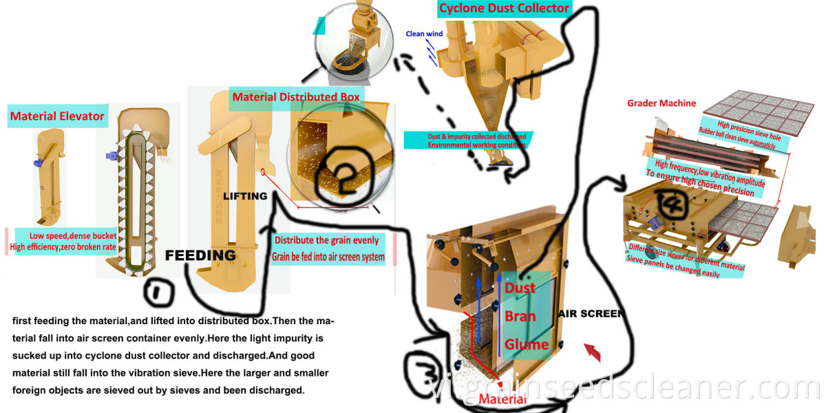 seed cleaning machine process